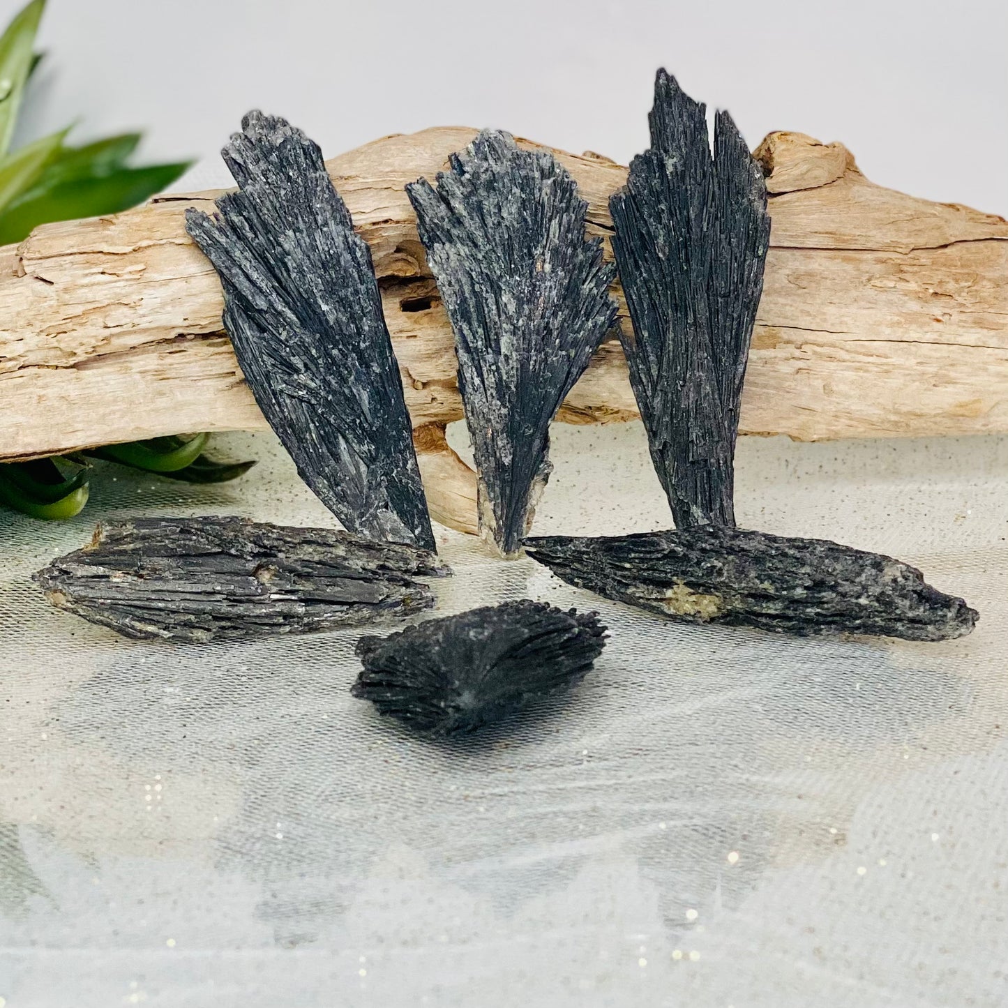 Black Kyanite Raw Crystal Blade - Energy Clearing Tool