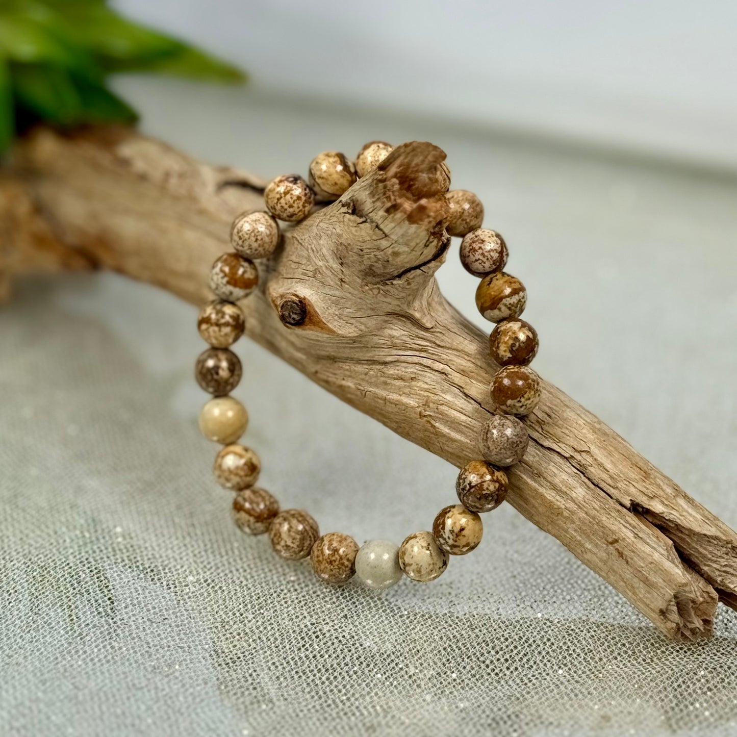 8mm Picture Jasper Bracelet - CBTS