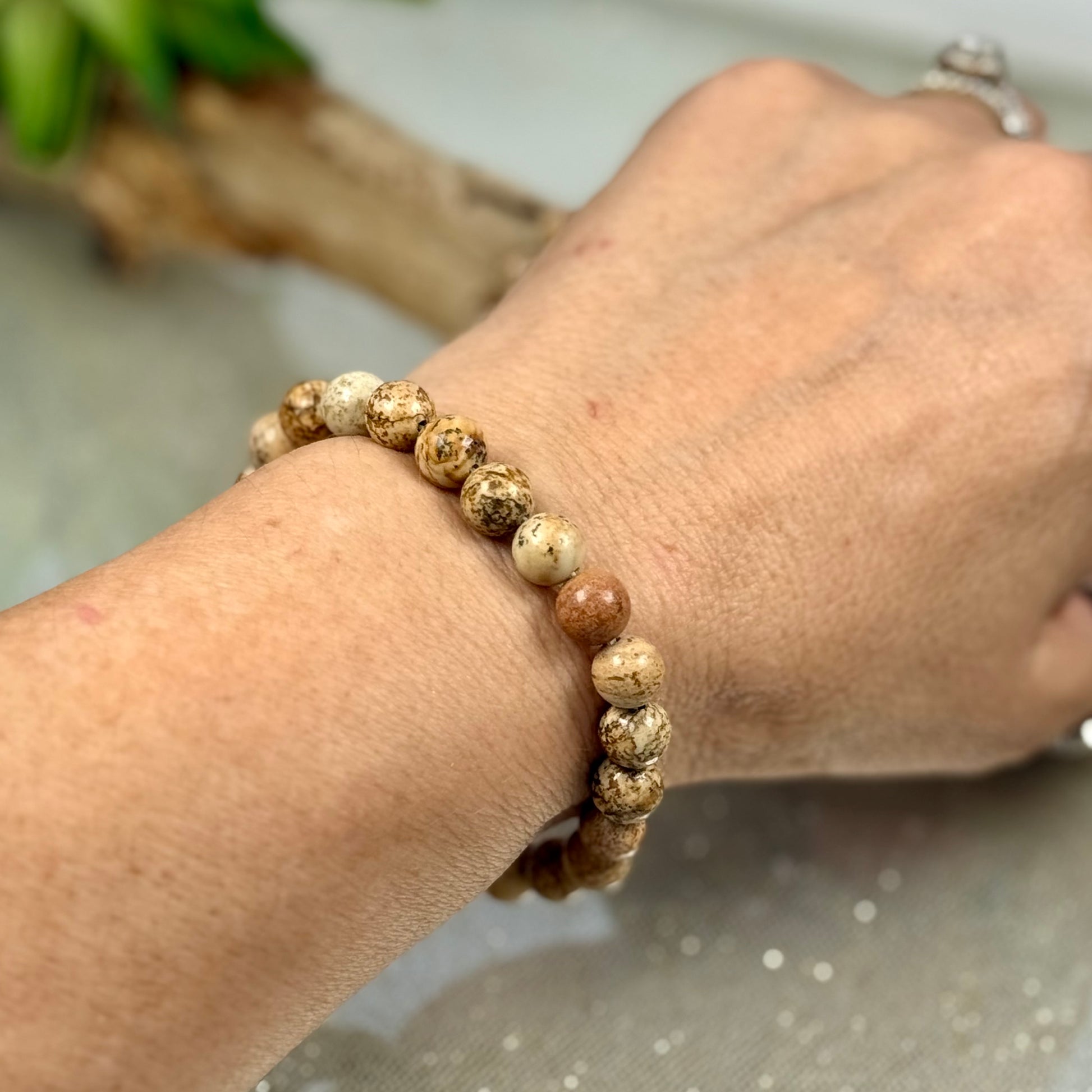8mm Picture Jasper Bracelet - CBTS