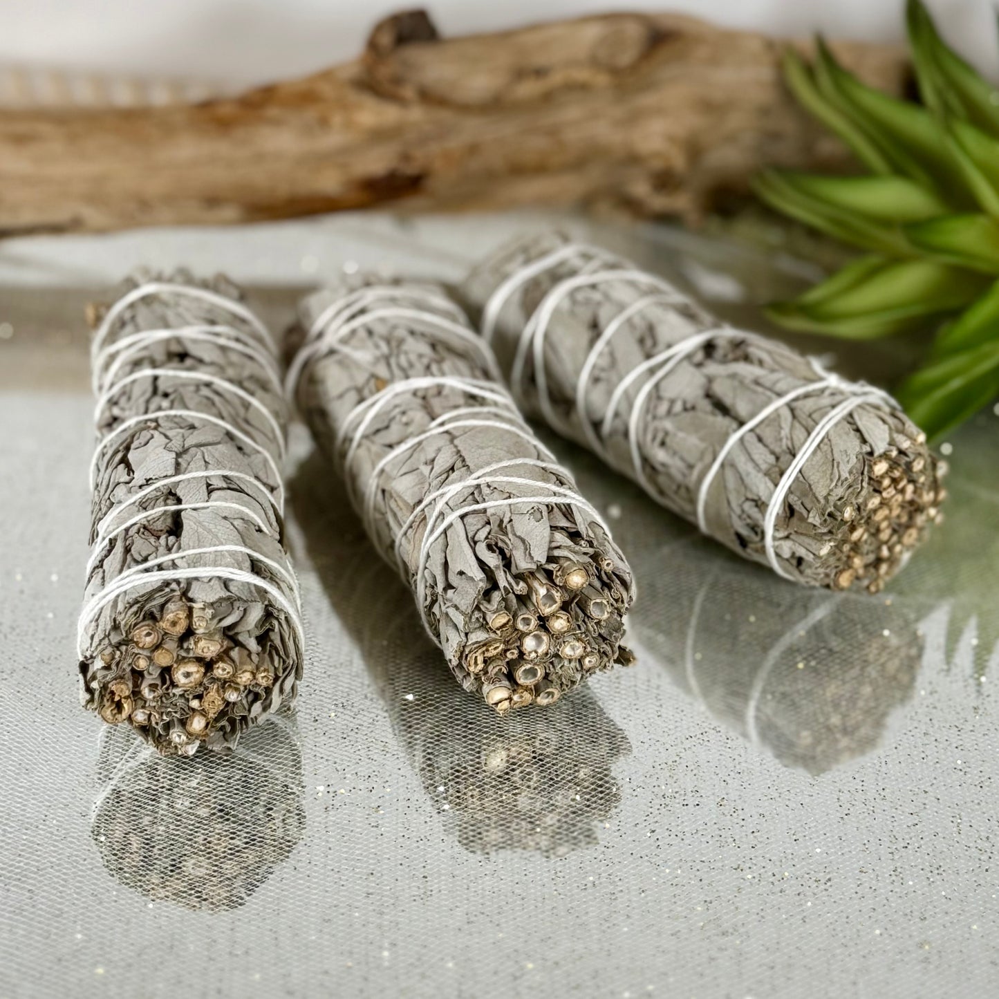 White Sage Bundle – 4” (Salvia apiana) from Mexico