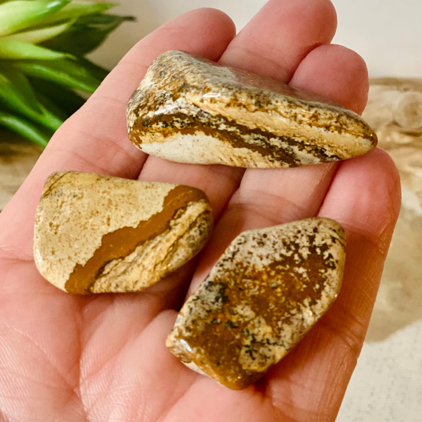 Earthy Elegance: Picture Jasper Tumbled Stones - Natural Beauty for Grounding and Balance