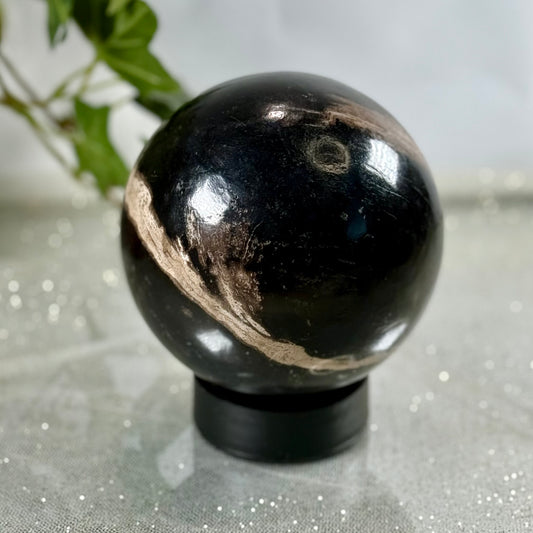 Enhance your Connection to Nature with this Dark Petrified Wood Sphere from Indonesia