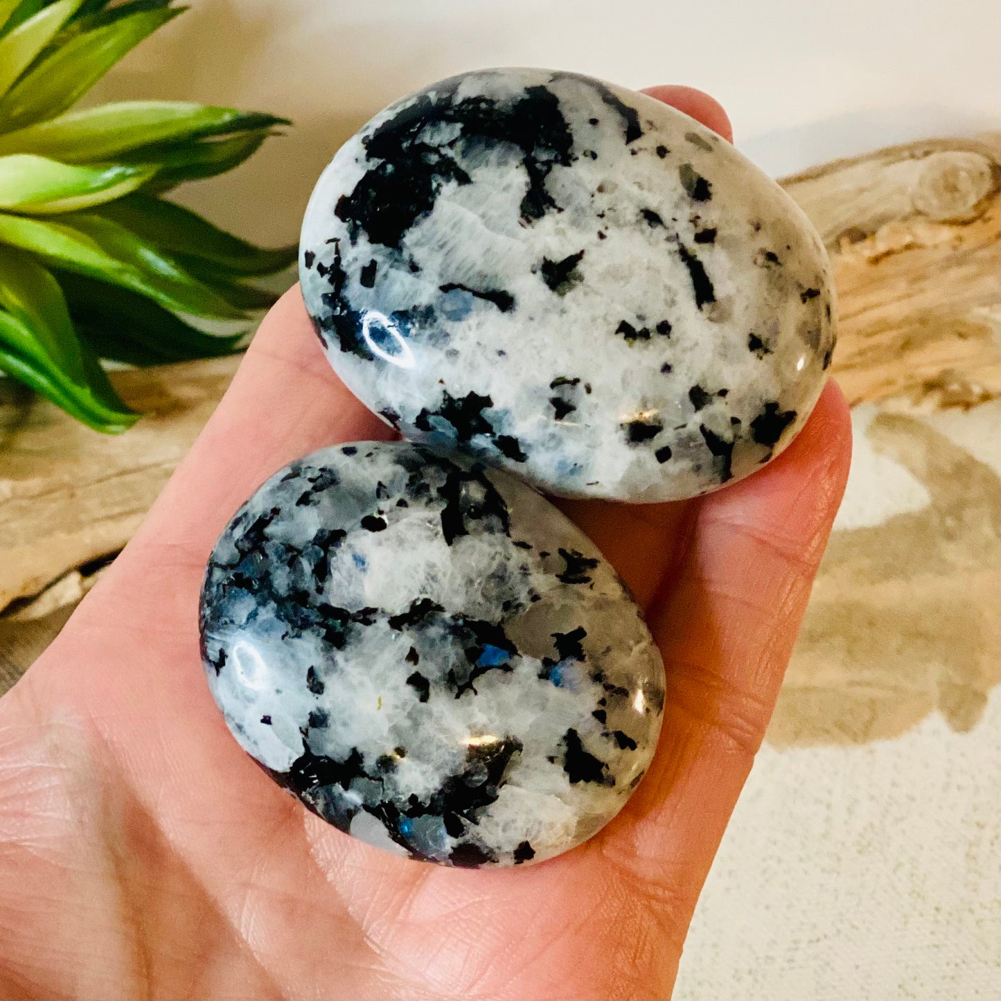 Rainbow Moonstone Palm Stone