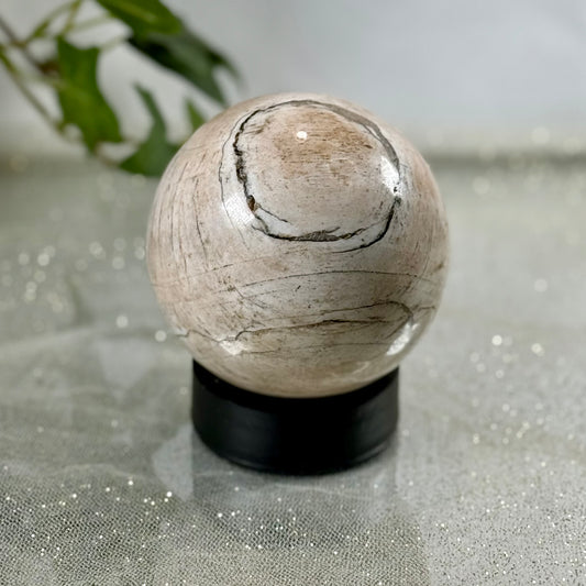 Exquisite Light Petrified Wood Sphere from Indonesia for Grounding