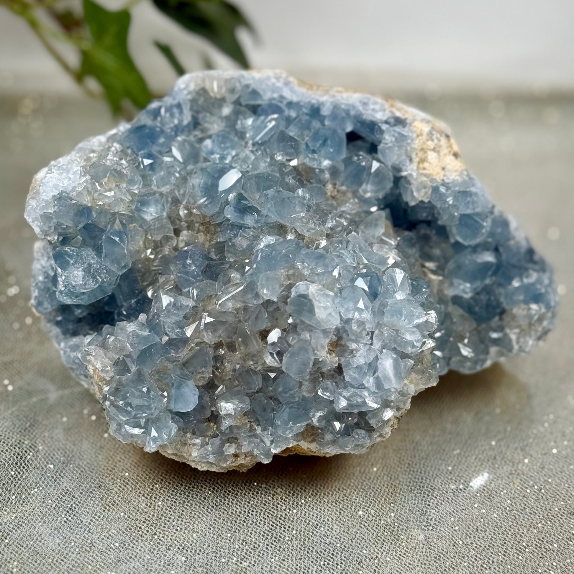 Celestite Raw Chunk- CBTS