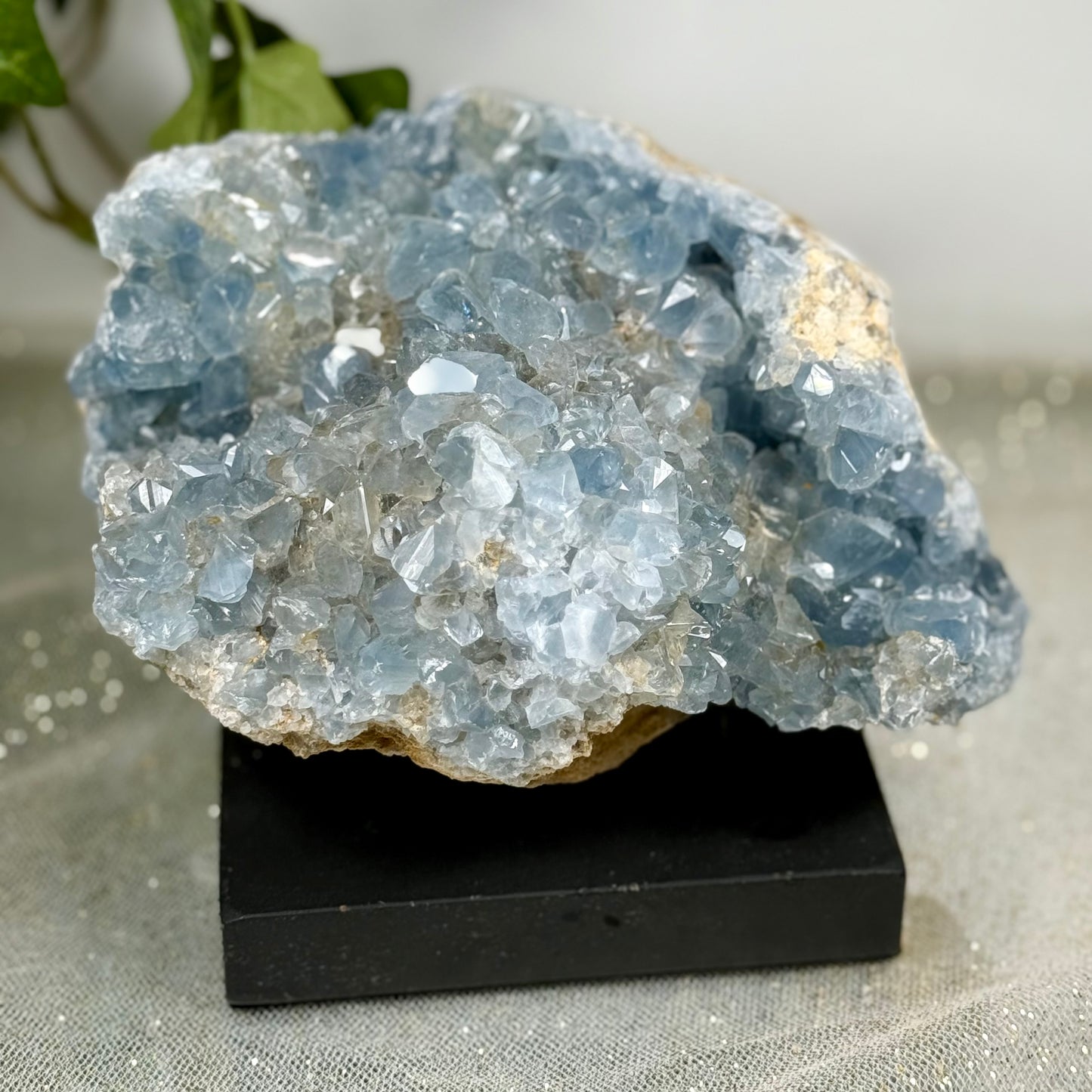 Celestite Raw Chunk- on stand CBTS