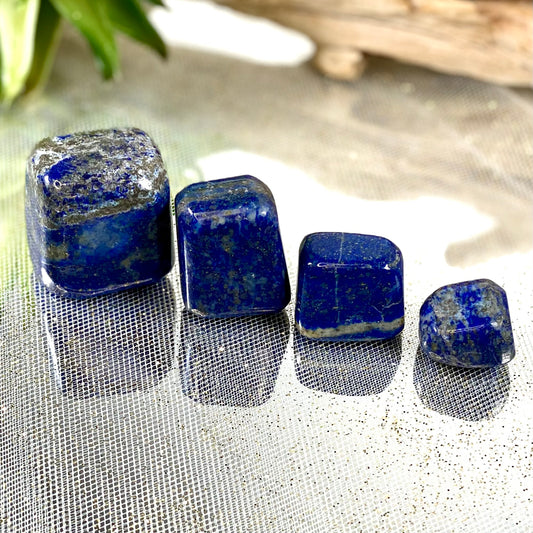 Lapis Lazuli Tumbled Crystals-CBTS