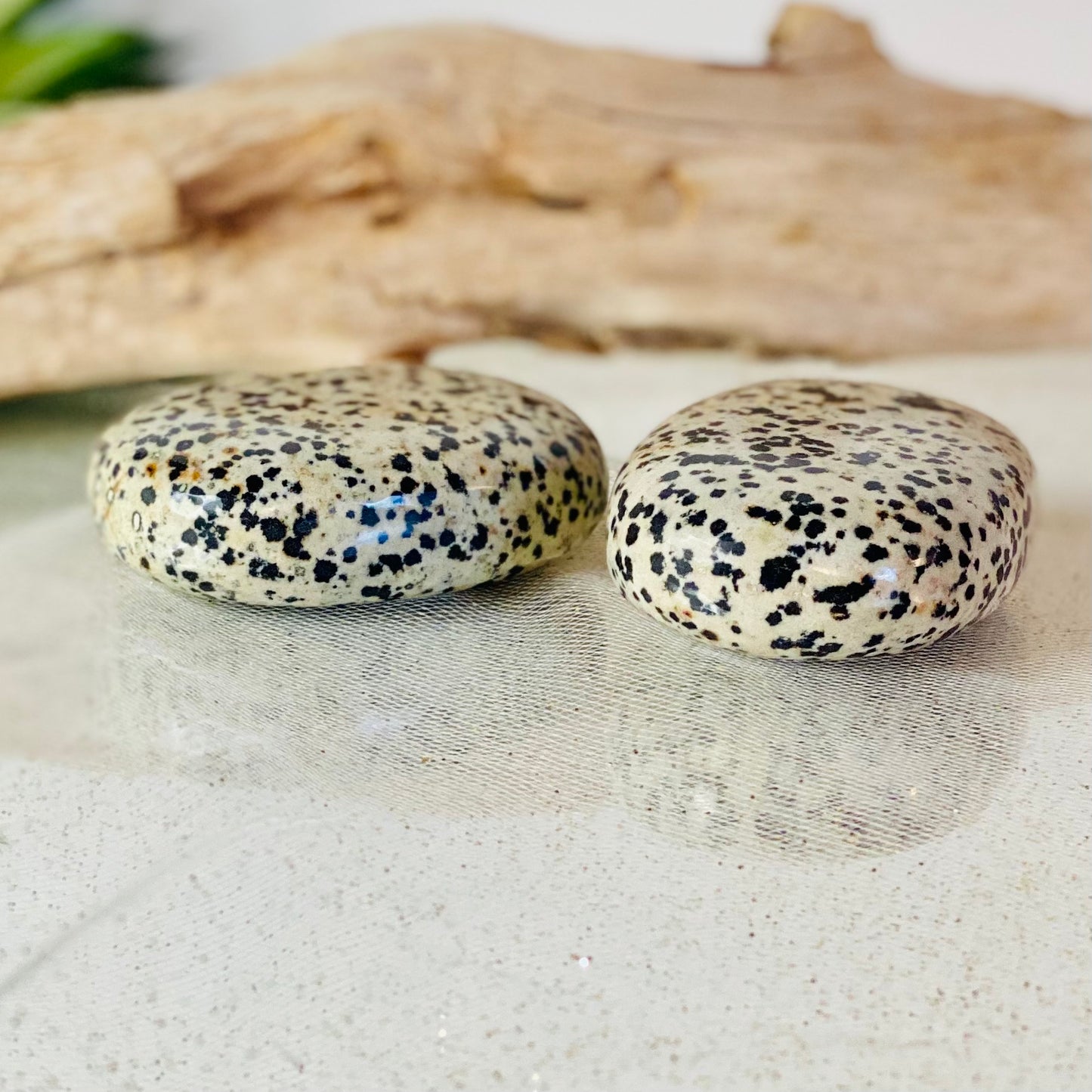 Dalmation Jasper palm stone-CBTS