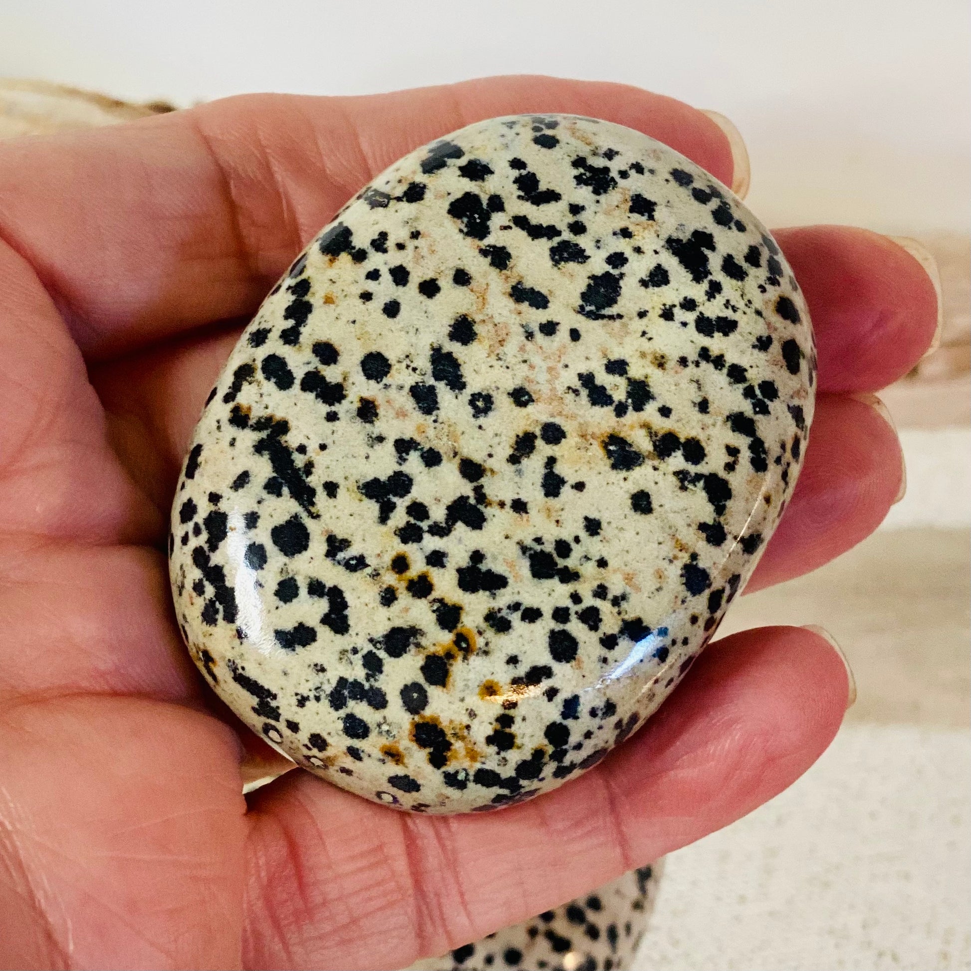 Dalmation Jasper palm stone-CBTS