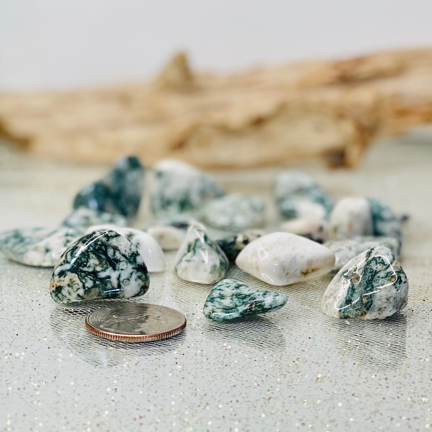 Tree Agate Tumbled Stones: Nature's Serene Embrace