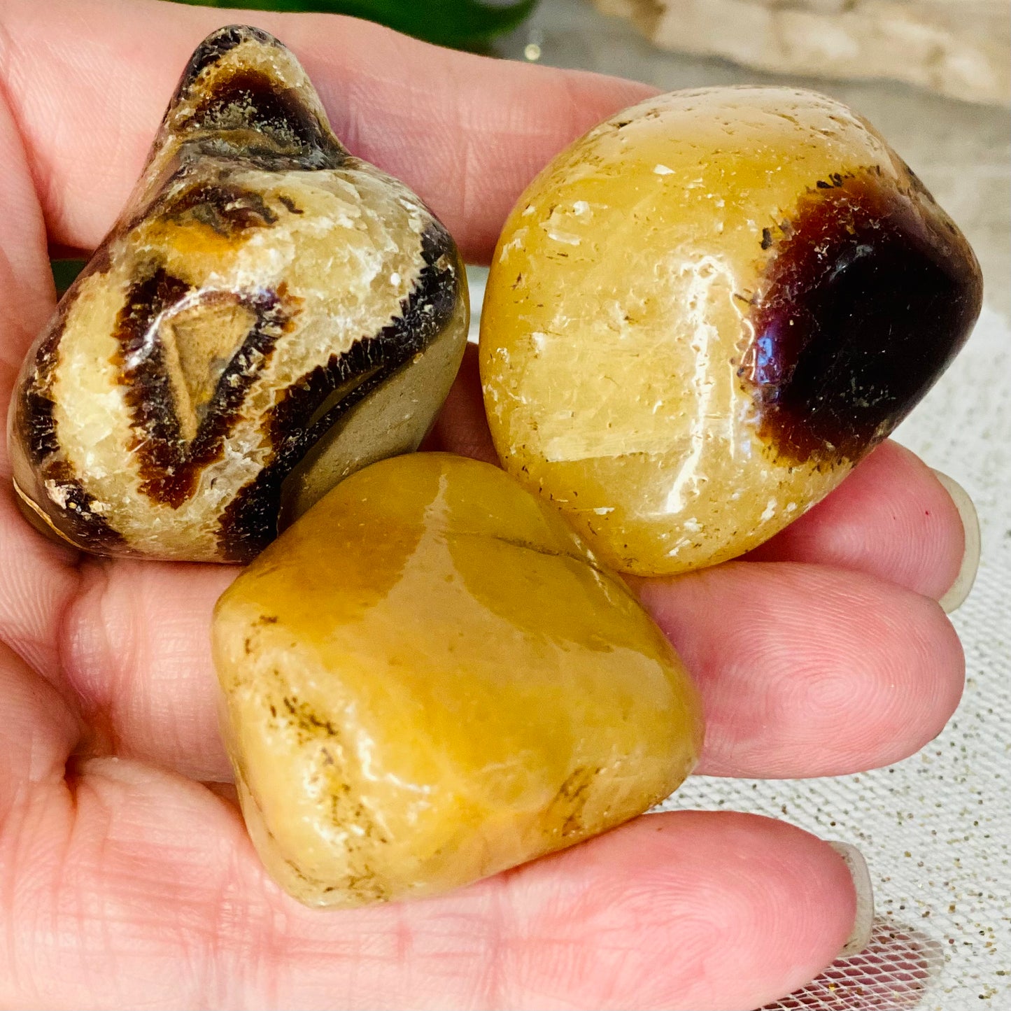 Madagascar Septarian Tumbled Stones: Earth's Ancient Secrets