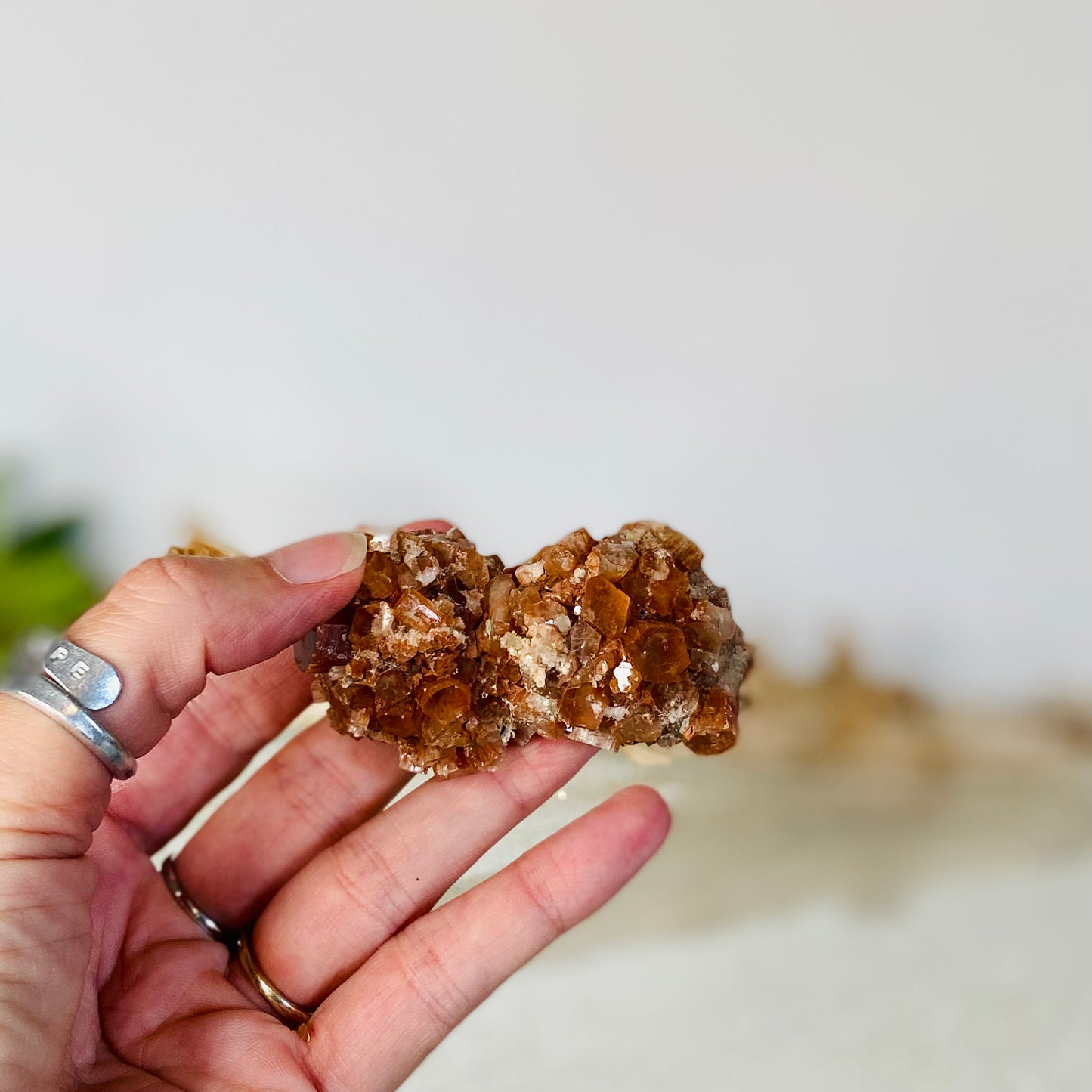Aragonite RARE DOUBLE Star Cluster: Natural Beauty for Grounding and Stability - 3oz