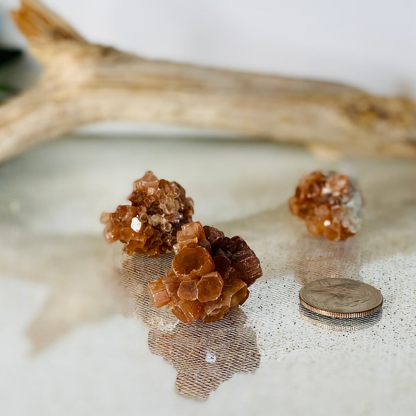 Aragonite Star Clusters: Natural Beauty for Grounding and Stability - Small .8oz