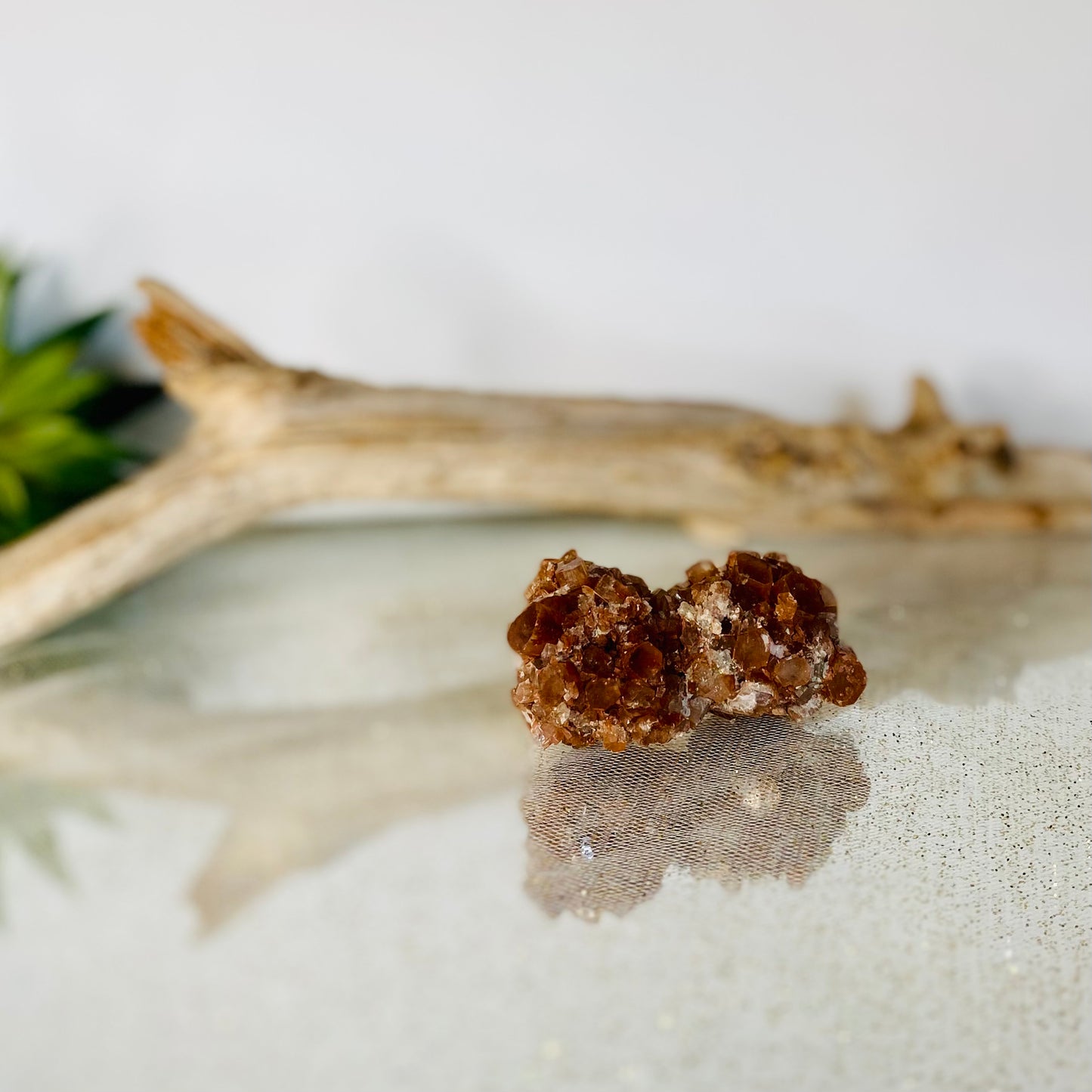Aragonite RARE DOUBLE Star Cluster: Natural Beauty for Grounding and Stability - 3oz