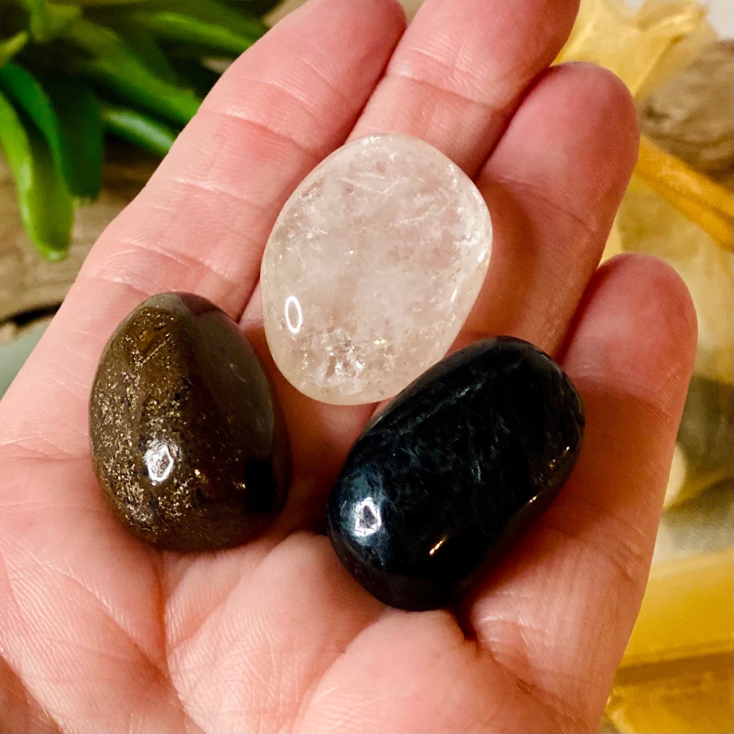 Transformation Trio: Stromatolite, Nuummite & Clear Quartz Crystal Set