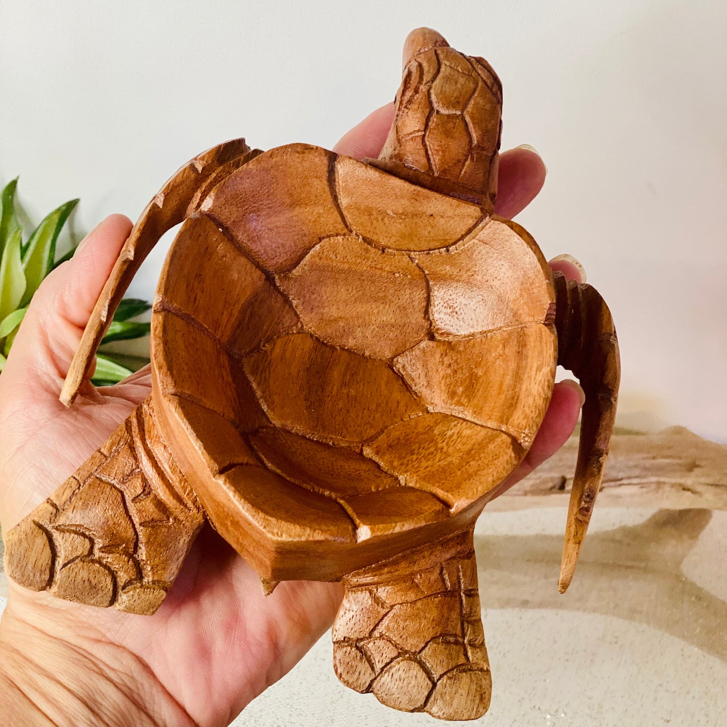 Exquisite Hand-Carved Turtle Bowls from Bali: Artistic Creations with Island Soul
