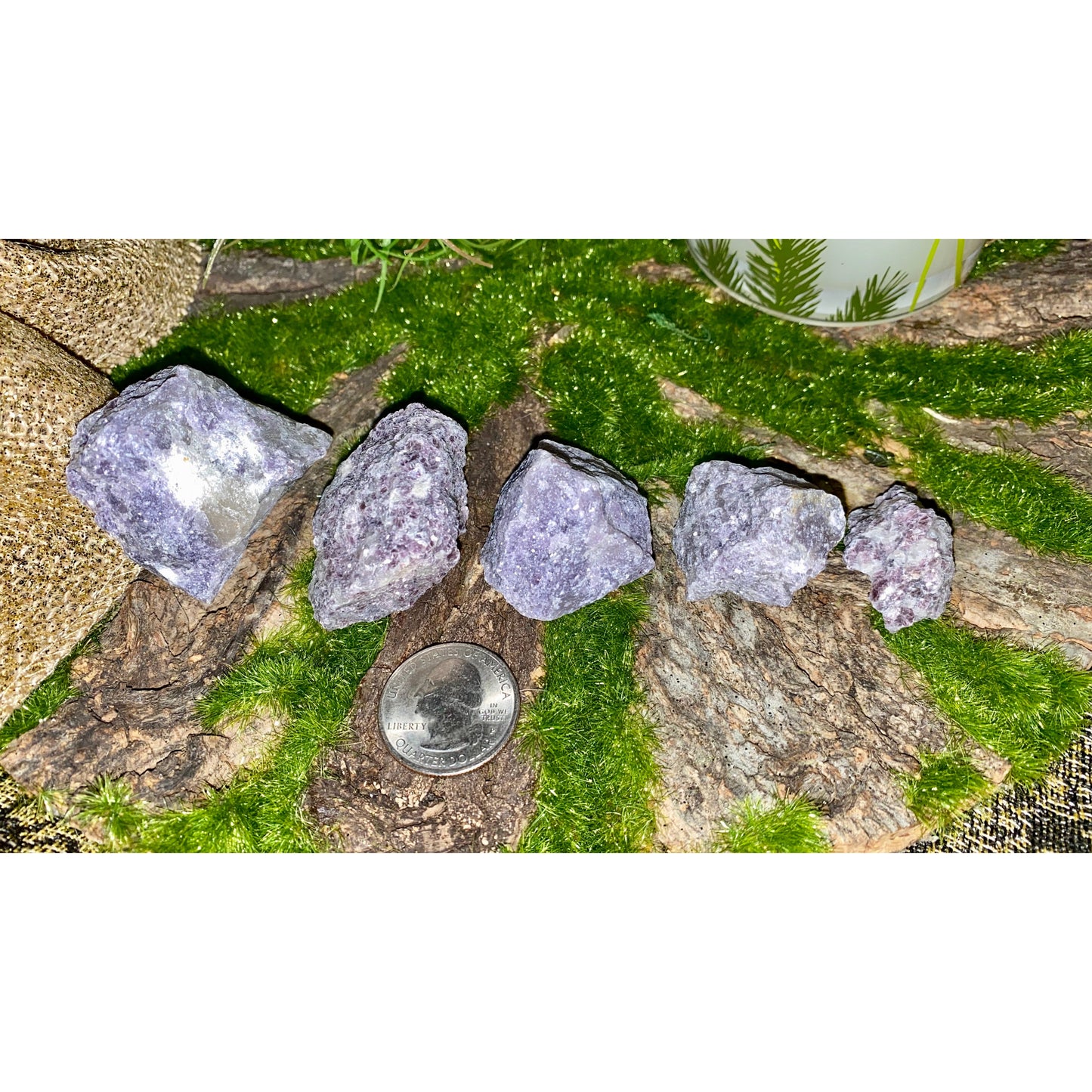 Lepidolite raw stones for soothing anxiety & depression!