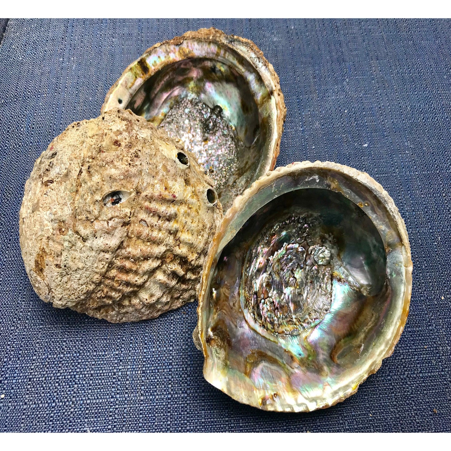 Abalone shell, smudging tools