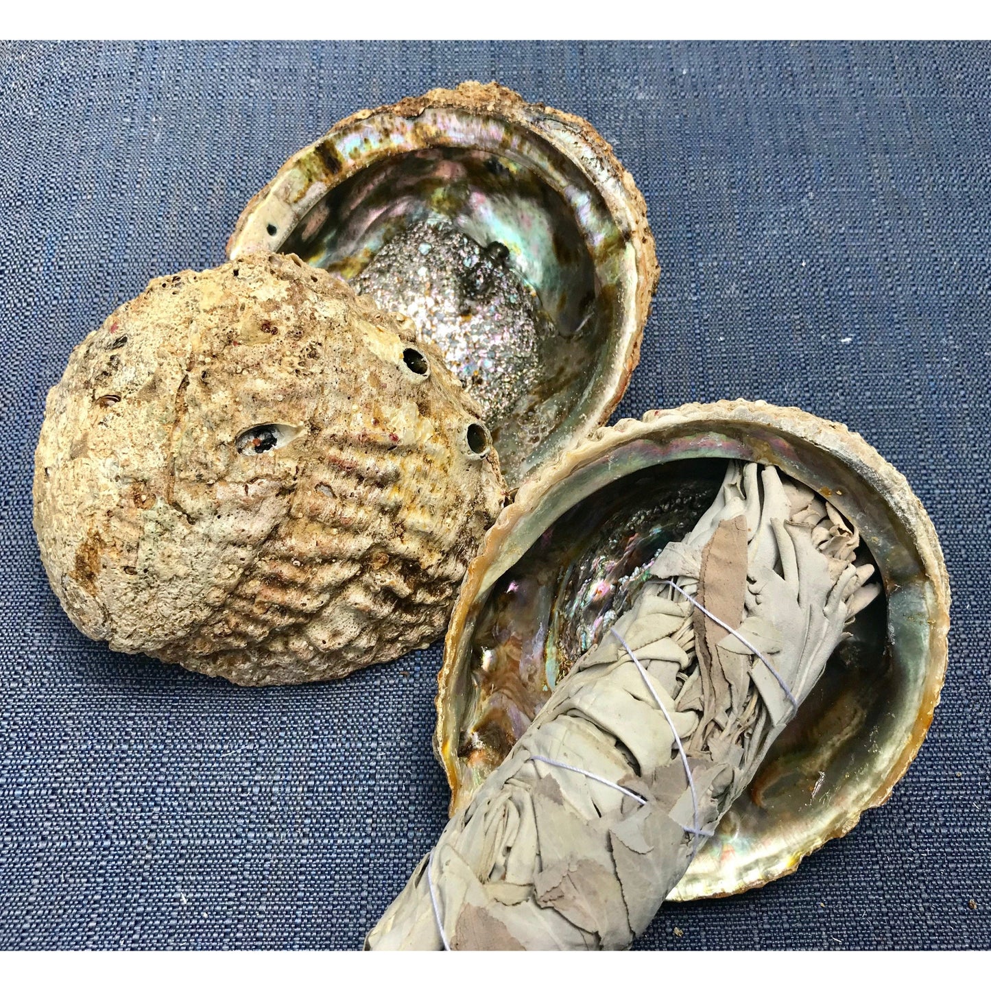 Abalone Shells for Smudging: A Gift from Mother Ocean