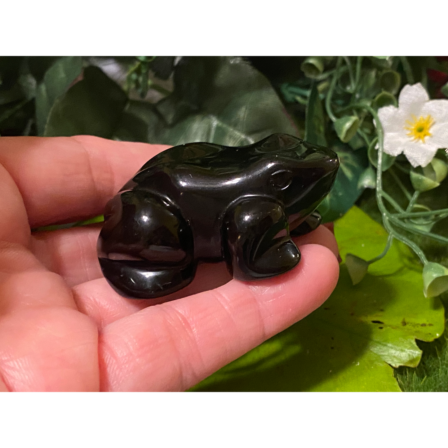 Invoke Frog energy to help with transformation, abundance & renewal!