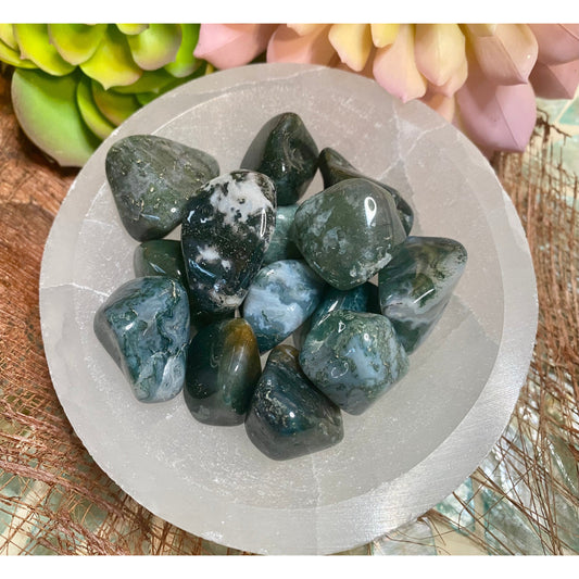 Moss Agate tumbled stone to see your beauty!