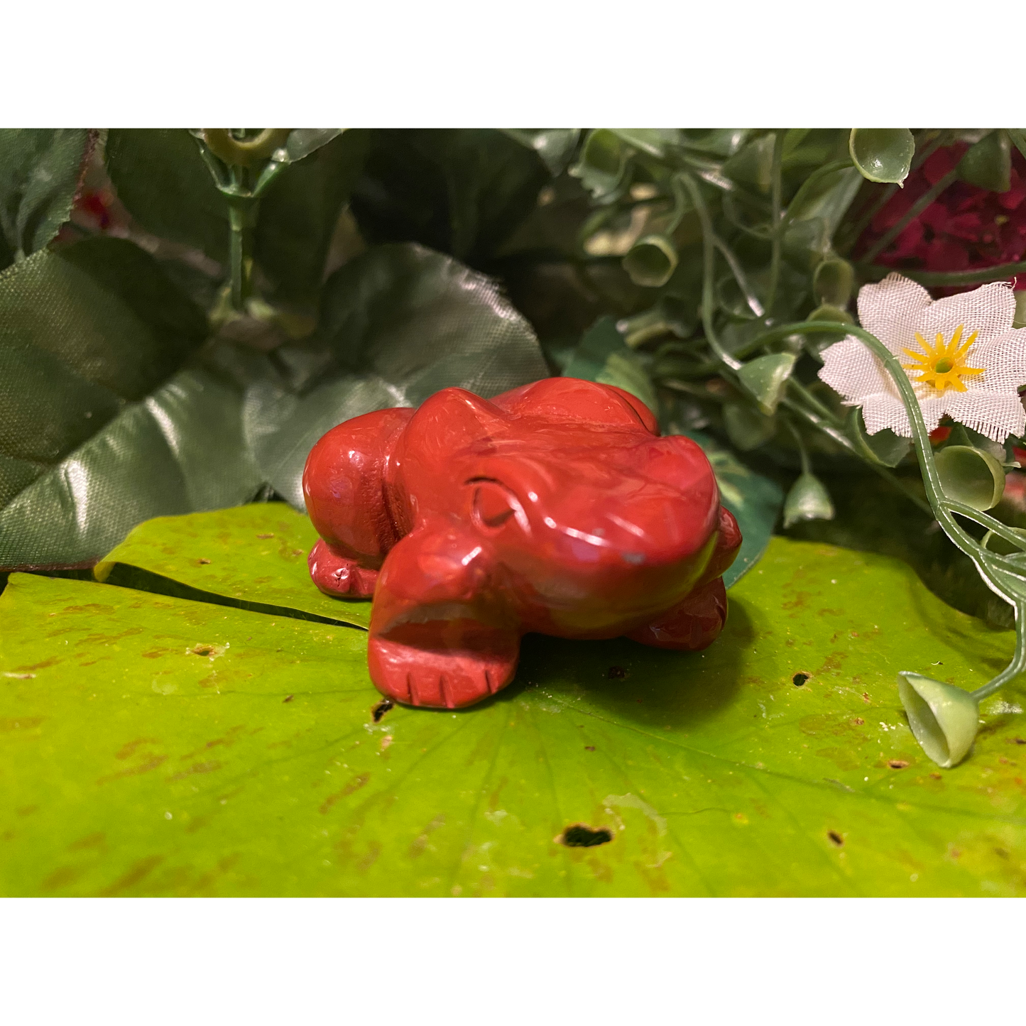 Invoke Frog energy to help with transformation, abundance & renewal!